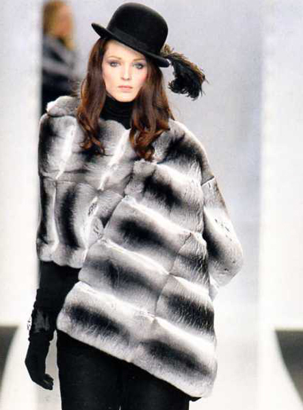 шиншилла шиншилла