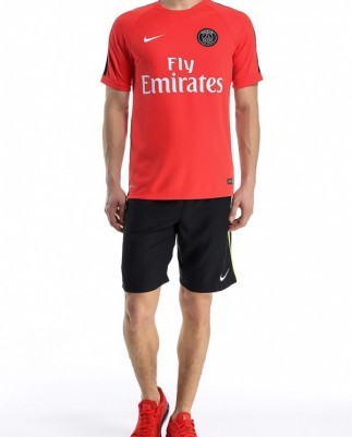 Мужские спортивные шорты Nike