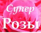 Рынок Цветов НА БОЛЬШОЙ